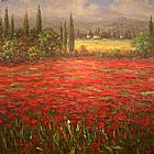 Unknown Poppy Field Splendor painting